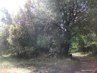 anobello-26-05-2013 10-31-46
